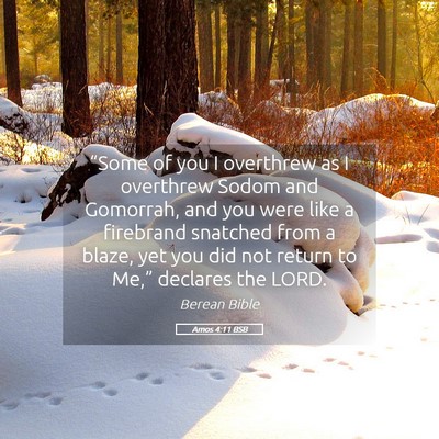 Picture 05 - Amos 4:11 BSB - “Some of you I overthrew as I overthrew Sodom - Bible Verse Picture