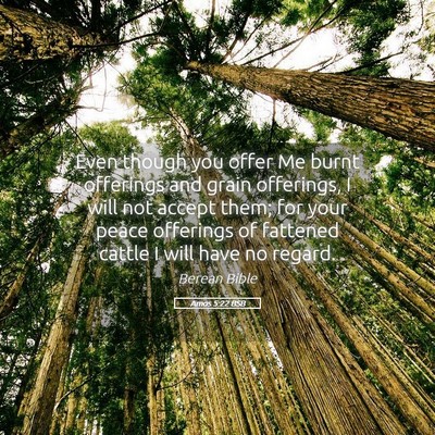Picture 05 - Amos 5:22 BSB - Even though you offer Me burnt offerings and - Bible Verse Picture