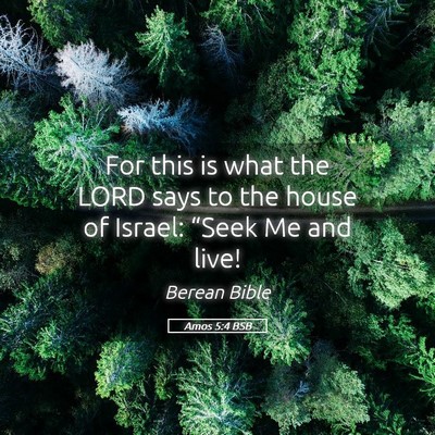 Picture 05 - Amos 5:4 BSB - For this is what the LORD says to the house of - Bible Verse Picture