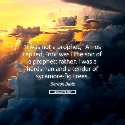 Picture 05 - Amos 7:14 BSB - “I was not a prophet,” Amos replied, “nor - Bible Verse Picture