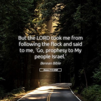 Picture 05 - Amos 7:15 BSB - But the LORD took me from following the flock and - Bible Verse Picture