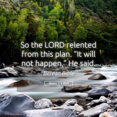 Picture 05 - Amos 7:3 BSB - So the LORD relented from this plan. “It will - Bible Verse Picture