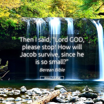 Picture 05 - Amos 7:5 BSB - Then I said, “Lord GOD, please stop! How will - Bible Verse Picture