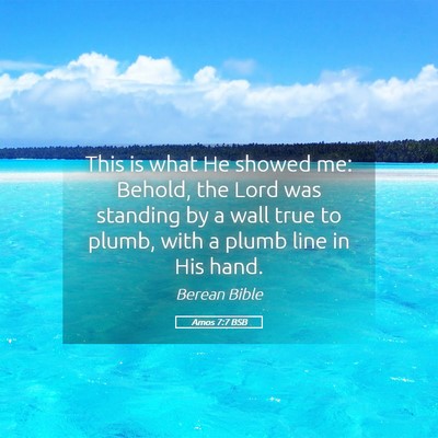 Picture 05 - Amos 7:7 BSB - This is what He showed me: Behold, the Lord was - Bible Verse Picture