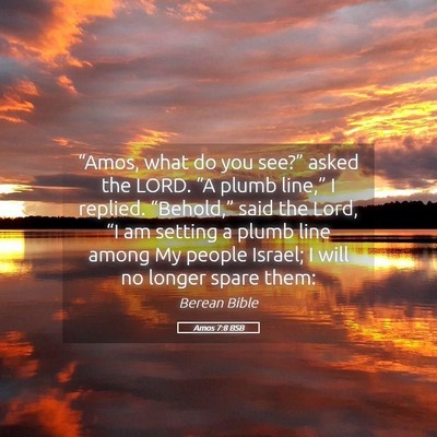 Picture 05 - Amos 7:8 BSB - “Amos, what do you see?” asked the LORD. “A - Bible Verse Picture