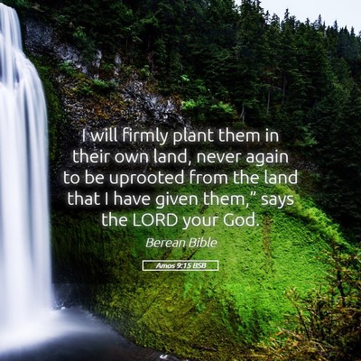Picture 05 - Amos 9:15 BSB - I will firmly plant them in their own land, never - Bible Verse Picture
