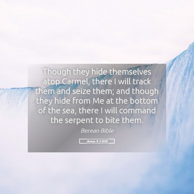 Picture 05 - Amos 9:3 BSB - Though they hide themselves atop Carmel, there I - Bible Verse Picture