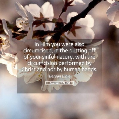 Picture 05 - Colossians 2:11 BSB - In Him you were also circumcised, in the putting - Bible Verse Picture
