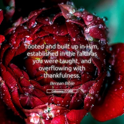 Picture 05 - Colossians 2:7 BSB - rooted and built up in Him, established in the - Bible Verse Picture