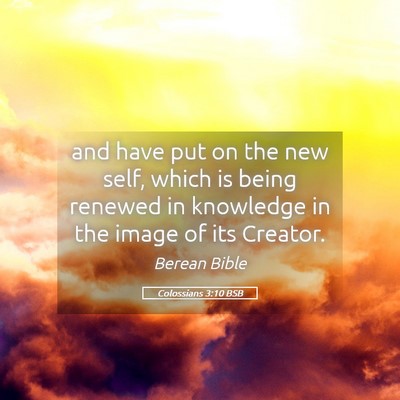 Picture 05 - Colossians 3:10 BSB - and have put on the new self, which is being - Bible Verse Picture