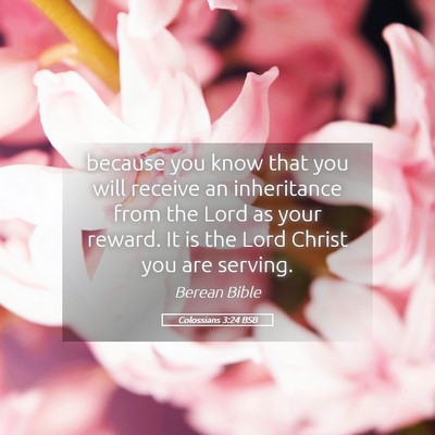 Picture 05 - Colossians 3:24 BSB - because you know that you will receive an - Bible Verse Picture