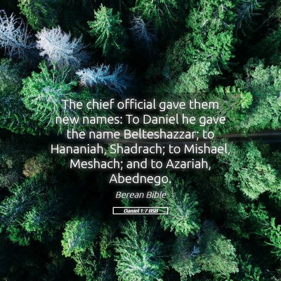 Picture 05 - Daniel 1:7 BSB - The chief official gave them new names: To Daniel - Bible Verse Picture