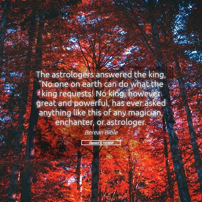 Picture 05 - Daniel 2:10 BSB - The astrologers answered the king, “No one on - Bible Verse Picture