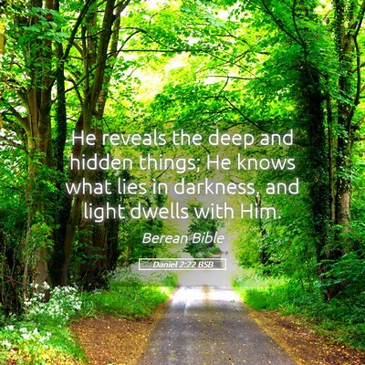 Picture 05 - Daniel 2:22 BSB - He reveals the deep and hidden things; He knows - Bible Verse Picture