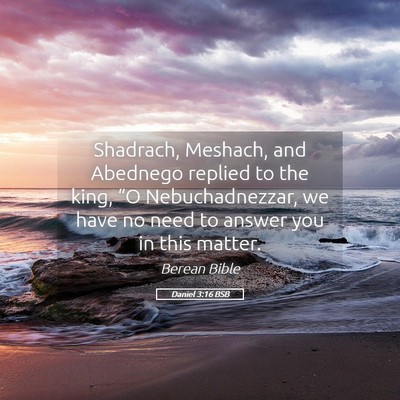 Picture 05 - Daniel 3:16 BSB - Shadrach, Meshach, and Abednego replied to the - Bible Verse Picture