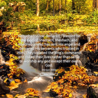 Picture 05 - Daniel 3:28 BSB - Nebuchadnezzar declared, “Blessed be the God of - Bible Verse Picture