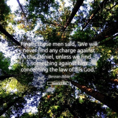 Picture 05 - Daniel 6:5 BSB - Finally these men said, “We will never find any - Bible Verse Picture