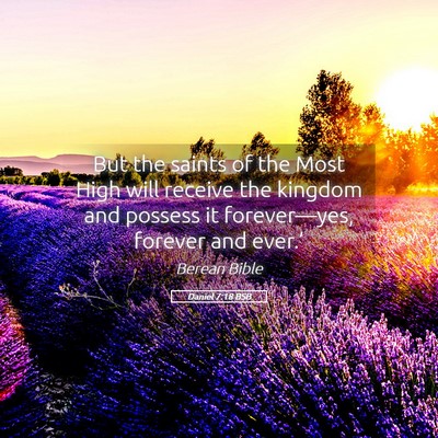 Picture 05 - Daniel 7:18 BSB - But the saints of the Most High will receive the - Bible Verse Picture