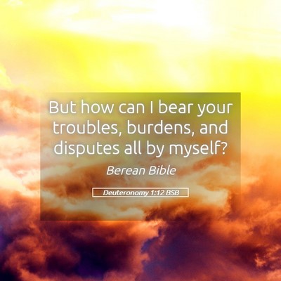 Picture 05 - Deuteronomy 1:12 BSB - But how can I bear your troubles, burdens, and - Bible Verse Picture