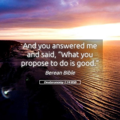 Picture 05 - Deuteronomy 1:14 BSB - And you answered me and said, “What you propose - Bible Verse Picture