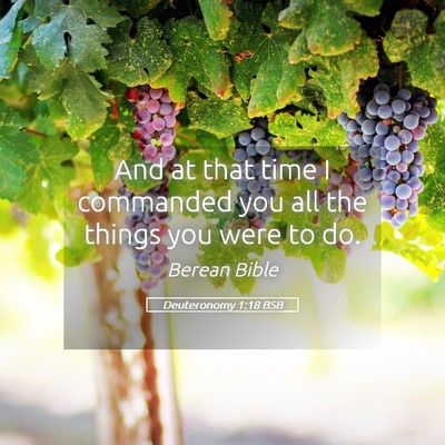 Picture 05 - Deuteronomy 1:18 BSB - And at that time I commanded you all the things - Bible Verse Picture