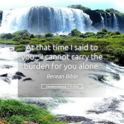 Picture 05 - Deuteronomy 1:9 BSB - At that time I said to you, “I cannot carry the - Bible Verse Picture