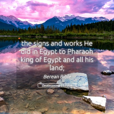 Picture 05 - Deuteronomy 11:3 BSB - the signs and works He did in Egypt to Pharaoh - Bible Verse Picture
