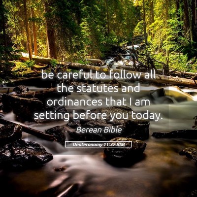 Picture 05 - Deuteronomy 11:32 BSB - be careful to follow all the statutes and - Bible Verse Picture