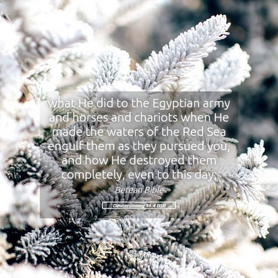 Picture 05 - Deuteronomy 11:4 BSB - what He did to the Egyptian army and horses and - Bible Verse Picture