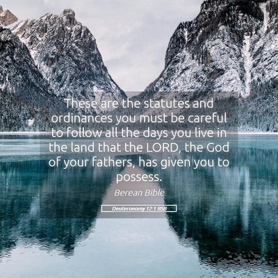 Picture 05 - Deuteronomy 12:1 BSB - These are the statutes and ordinances you must be - Bible Verse Picture