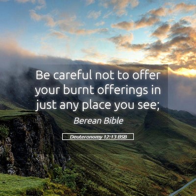 Picture 05 - Deuteronomy 12:13 BSB - Be careful not to offer your burnt offerings in - Bible Verse Picture