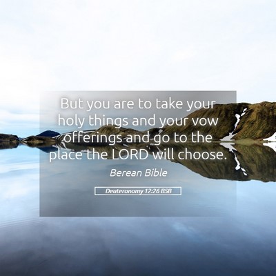 Picture 05 - Deuteronomy 12:26 BSB - But you are to take your holy things and your vow - Bible Verse Picture