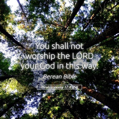 Picture 05 - Deuteronomy 12:4 BSB - You shall not worship the LORD your God in this - Bible Verse Picture