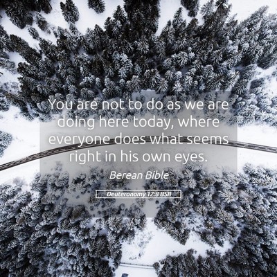 Picture 05 - Deuteronomy 12:8 BSB - You are not to do as we are doing here today, - Bible Verse Picture