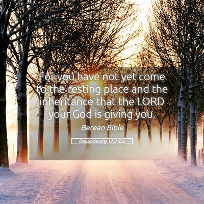 Picture 05 - Deuteronomy 12:9 BSB - For you have not yet come to the resting place - Bible Verse Picture