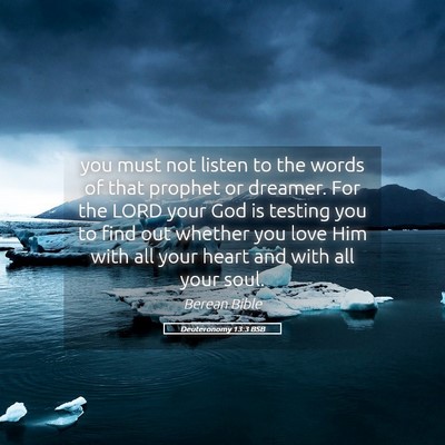 Picture 05 - Deuteronomy 13:3 BSB - you must not listen to the words of that prophet - Bible Verse Picture