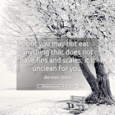 Picture 05 - Deuteronomy 14:10 BSB - but you may not eat anything that does not have - Bible Verse Picture
