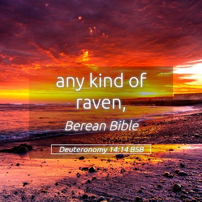 Picture 05 - Deuteronomy 14:14 BSB - any kind of - Bible Verse Picture