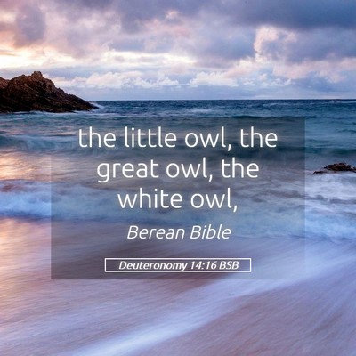 Picture 05 - Deuteronomy 14:16 BSB - the little owl, the great owl, the white - Bible Verse Picture