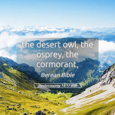 Picture 05 - Deuteronomy 14:17 BSB - the desert owl, the osprey, the - Bible Verse Picture