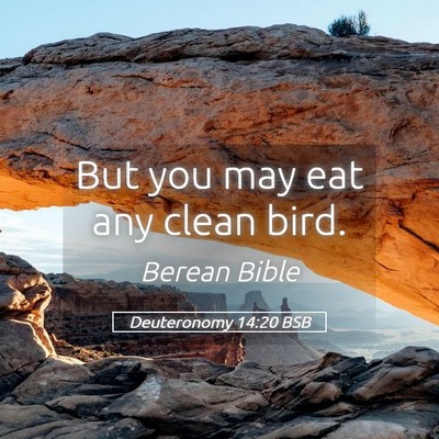 Picture 05 - Deuteronomy 14:20 BSB - But you may eat any clean - Bible Verse Picture
