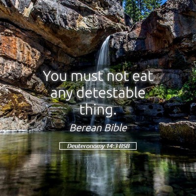 Picture 05 - Deuteronomy 14:3 BSB - You must not eat any detestable - Bible Verse Picture
