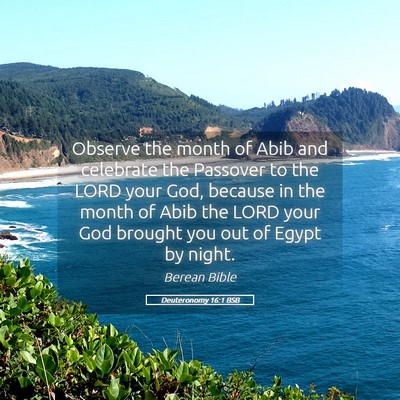 Picture 05 - Deuteronomy 16:1 BSB - Observe the month of Abib and celebrate the - Bible Verse Picture