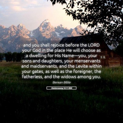 Picture 05 - Deuteronomy 16:11 BSB - and you shall rejoice before the LORD your God in - Bible Verse Picture