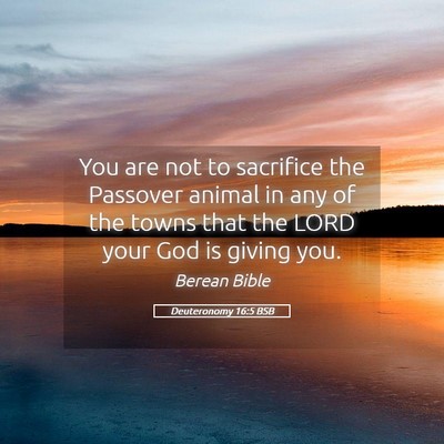 Picture 05 - Deuteronomy 16:5 BSB - You are not to sacrifice the Passover animal in - Bible Verse Picture