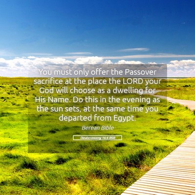 Picture 05 - Deuteronomy 16:6 BSB - You must only offer the Passover sacrifice at the - Bible Verse Picture