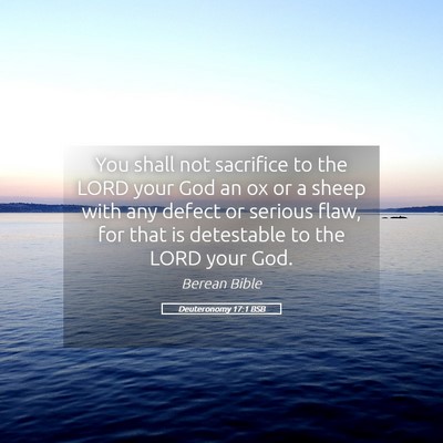 Picture 05 - Deuteronomy 17:1 BSB - You shall not sacrifice to the LORD your God an - Bible Verse Picture