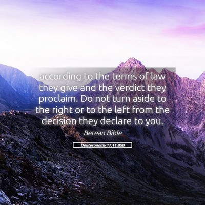 Picture 05 - Deuteronomy 17:11 BSB - according to the terms of law they give and the - Bible Verse Picture