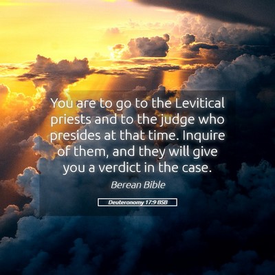 Picture 05 - Deuteronomy 17:9 BSB - You are to go to the Levitical priests and to the - Bible Verse Picture