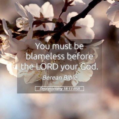 Picture 05 - Deuteronomy 18:13 BSB - You must be blameless before the LORD your - Bible Verse Picture